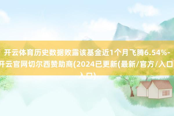 开云体育历史数据败露该基金近1个月飞腾6.54%-开云官网切尔西赞助商(2024已更新(最新/官方/入口)