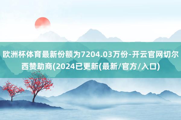 欧洲杯体育最新份额为7204.03万份-开云官网切尔西赞助商(2024已更新(最新/官方/入口)