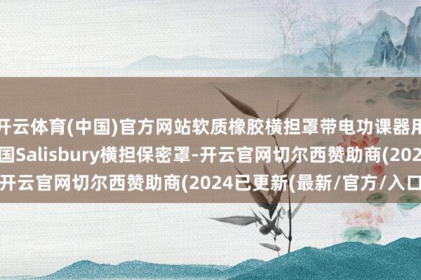 开云体育(中国)官方网站软质橡胶横担罩带电功课器用绝缘罩1186好意思国Salisbury横担保密罩-开云官网切尔西赞助商(2024已更新(最新/官方/入口)