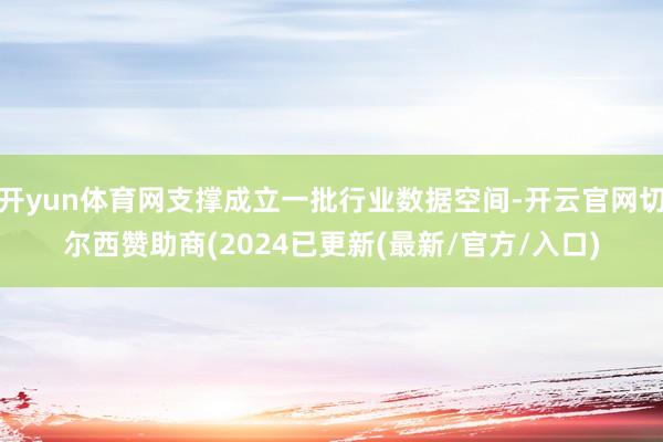 开yun体育网支撑成立一批行业数据空间-开云官网切尔西赞助商(2024已更新(最新/官方/入口)