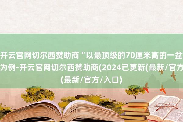 开云官网切尔西赞助商“以最顶级的70厘米高的一盆蝴蝶兰为例-开云官网切尔西赞助商(2024已更新(最新/官方/入口)