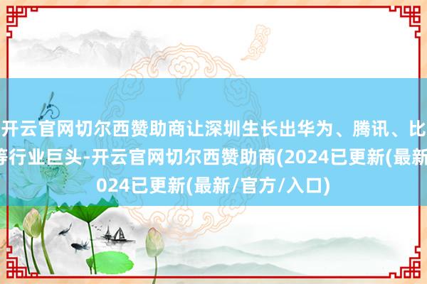 开云官网切尔西赞助商让深圳生长出华为、腾讯、比亚迪、大疆等行业巨头-开云官网切尔西赞助商(2024已更新(最新/官方/入口)